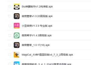 微商成交神器,微信管理+一比一模拟支付宝微信+钱包模拟!-众一创享站