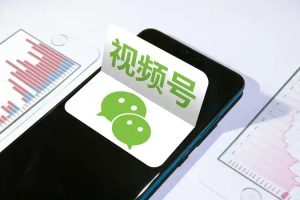视频号连怼技术测素材思路和上下虚化去重玩法-众一创享站