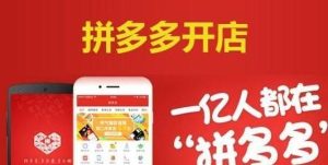 从0开始做拼多多18天收入86600元-众一创享站