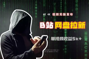 视频无脑发布B站做网盘拉新单视频最高收益5k+-众一创享站