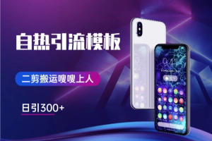 打自热最牛逼的引流模板二剪搬运日引300+-众一创享站